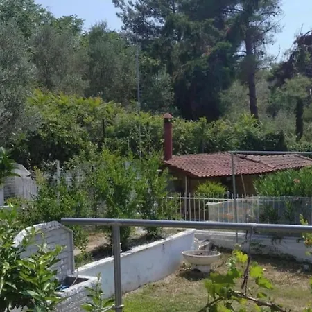 Anthishouse