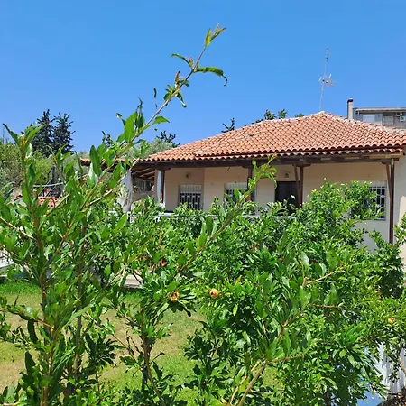 Anthishouse